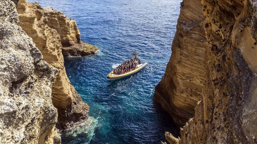 Vila Franca Islet: Bioligist Guided 0% Carbon e-Boat Tour - Wildlife viewing: birds, fish, and lightfoot crabs in season