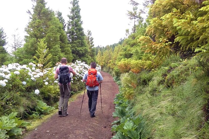 Walking Tour Sete Cidades - Small group size and an English guide that actually helps