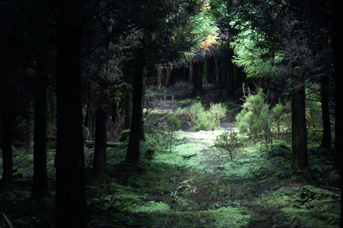 Walking Trails of Terceira - Walking Trails of Terceira, where calderas meet crater lakes
