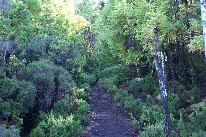 Walking Trails of Terceira - Lagoa da Serreta, the medium-difficulty crater climb