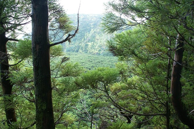 Walking Trails of Terceira - Altares and Lagoa dos Altares, a quick lake stop for photos