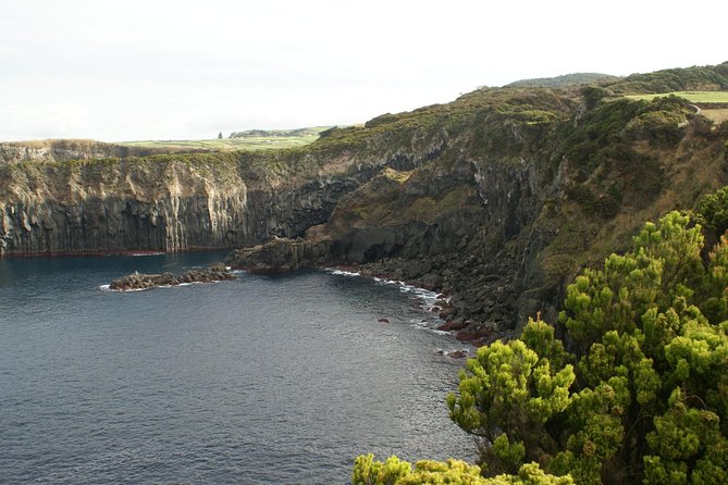 Walking Trails of Terceira - Trilha de Misterios Negros, where the vegetation changes fast