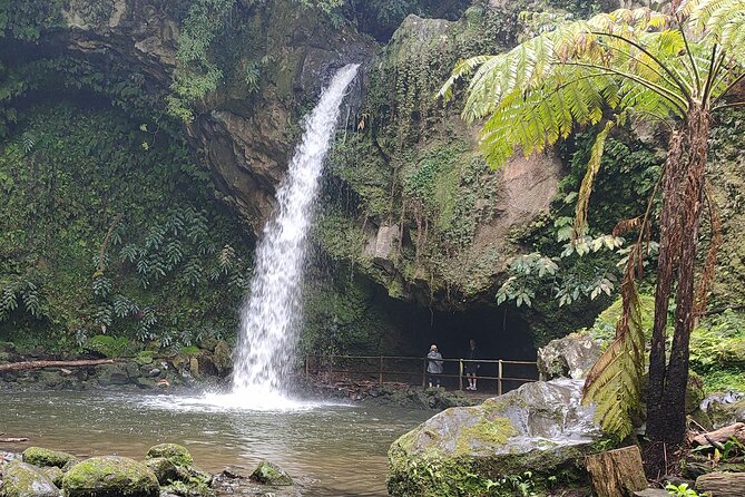 water Falls route - Stop 2: Praia Moinhos, Hydrangeas and a Slender Cascade