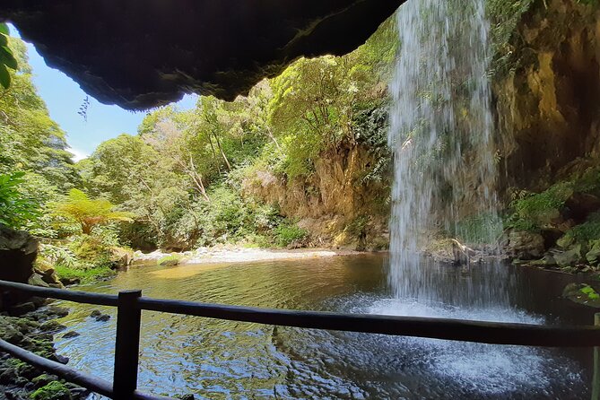 Waterfalls Hike, Moinho do Felix with tea plantation - Moinho do Felix and Gorreana Tea, the best combo for your São Miguel time