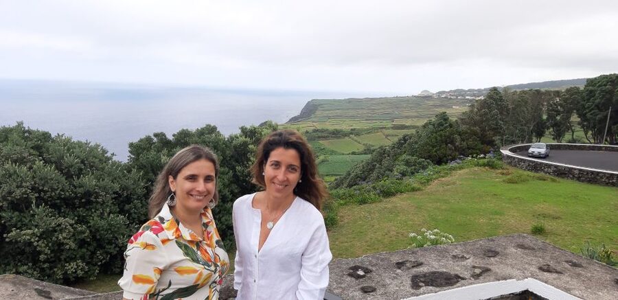 West Coast Van Tour (Half Day) | Terceira Island - Should You Book This West Coast Van Tour on Terceira?