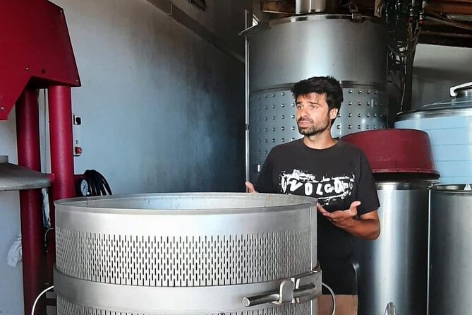 Wine tour and Tasting with a local Winemaker at Pico Island - Price and what makes this feel like real value